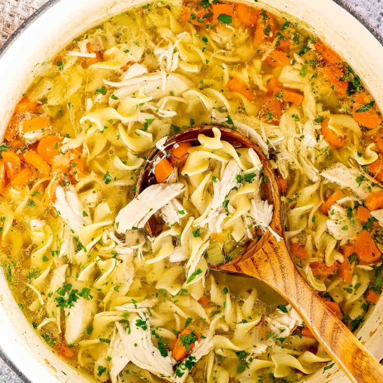 freshly made chicken noodle soup in a large dutch oven.