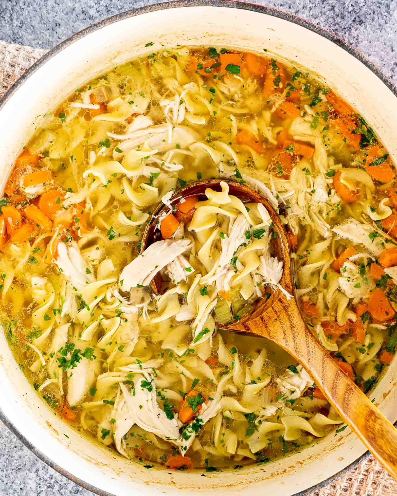freshly made chicken noodle soup in a large dutch oven.