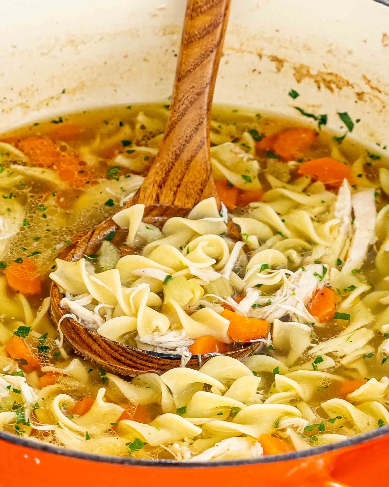 freshly made chicken noodle soup in a large dutch oven.